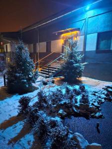 SentaFantastico Exlcusive Hotel的两棵圣诞树在晚上在一座建筑物前