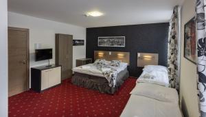 Ujčov祖布尔酒店的酒店客房设有两张床和一台平面电视。