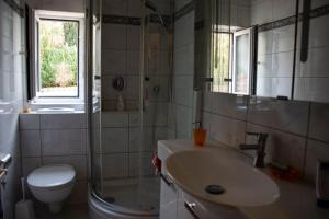 耶拿Kernberg Apartment Jena的一间带水槽、卫生间和淋浴的浴室