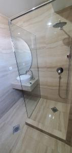 斯特鲁加Struga Riverview Hotel的浴室设有玻璃墙内的卫生间