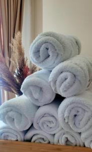斯特鲁加Struga Riverview Hotel的堆叠在一起的毛巾