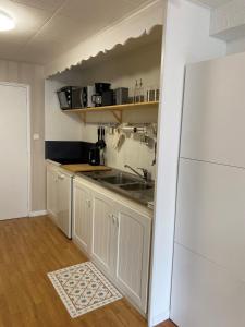 蒙热内夫尔Résidence l'olympia的一间带水槽和冰箱的小厨房