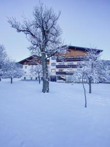 韦伯格B&B at Kreativhaus Tirol的一座建筑前的一片有树木的雪地