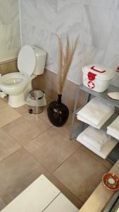 维亚纳堡Wild Glamping Portugal的一间带卫生间的浴室和一个带草的花瓶