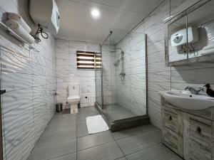 阿布贾UrbaN RootZ的带淋浴、盥洗盆和卫生间的浴室