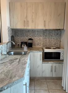 阿吉奥斯伊欧尼斯Aegean View House的厨房配有水槽和微波炉