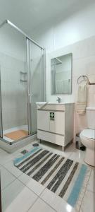 丰沙尔Residencial Monaco的带淋浴、盥洗盆和卫生间的浴室