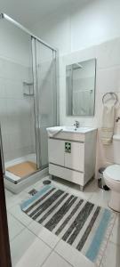 丰沙尔Residencial Monaco的带淋浴、盥洗盆和卫生间的浴室