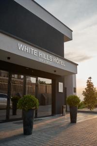 乌日霍罗德WHITE HILLS HOTEL spa&sport的白色的山丘酒店前面有盆栽植物