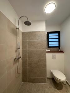 布康卡努Résidence UltraMarine的带淋浴、卫生间和窗户的浴室