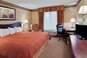 温泉城卡尔森热温泉乡村旅馆和套房的配有一张床和一张书桌的酒店客房
