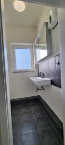 不莱梅Sechsbettzimmer "Blau" in zentraler Lage的一间带水槽和镜子的浴室