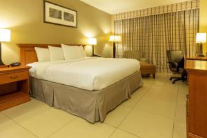 巴拿马城Radisson Hotel Panama Canal的一间位于酒店客房内的带大床的卧室