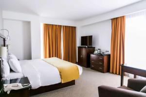 莱昂莱昂雷迪森珀里弗姆广场酒店的酒店客房配有一张床、一把椅子和一台电视。