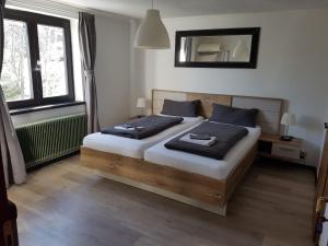 阿夫里茨蓝山酒店的一间卧室配有两张床和镜子