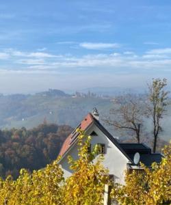 EckbergWinzerhaus am Eckberg的山顶上享有美景的房屋