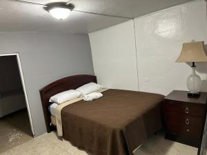 圣胡安1BR Plus Basement, Near Beach and Restaurants的一间卧室配有一张床和一张带台灯的桌子