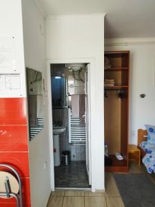 帕利克Soba Milica的客房设有带水槽和镜子的浴室