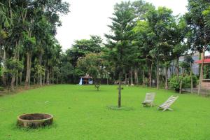 索拉哈Chitwan Forest Resort , Chitwan National Park的草地上的一个公园,公园里放着两把椅子和一棵树