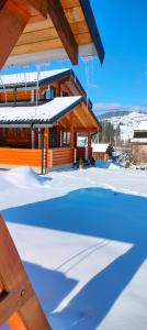 沃罗赫塔Шале Вілія的一座在雪中设有蓝色游泳池的建筑