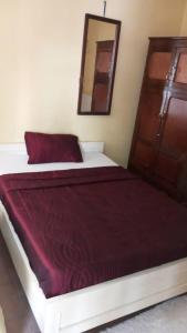 布拉柴维尔Julie-Appart的一间卧室配有一张带红色毯子和镜子的床