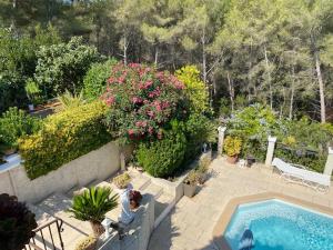 邦多勒La Florentine的花园设有游泳池、鲜花和围栏