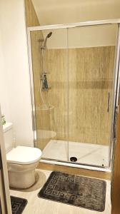 巴塞尔顿Impeccable 2-Bed House in Basildon的带淋浴和卫生间的浴室