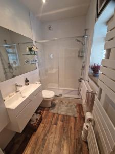 哈利法克斯Briar Cottage Guest Suite in Norwood Green, Halifax的一间带水槽、淋浴和卫生间的浴室
