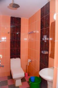 布琼布拉lake palace beach hotel的一间带卫生间和水槽的浴室