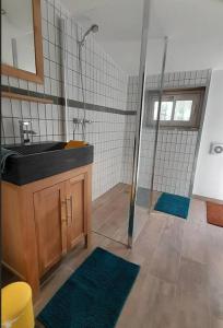 阿尔勒Casa d'Olivier的一间带水槽和淋浴的浴室
