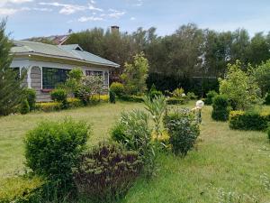 纳纽基Kioka gardens - stand alone with wifi and parking的一座带房子和灌木的院子