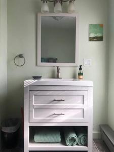 腓尼基Panther Mountain Lodge的浴室设有白色水槽和镜子