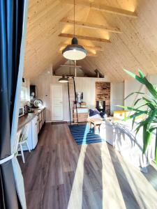 LieplaukėModern Sauna Cabin in Horse Ranch的厨房和带木制天花板的客厅