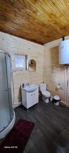 ArmenişCabana Larisa的浴室配有卫生间、盥洗盆和淋浴。