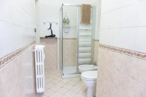 都灵Lingotto Luxury Apartment的一间带卫生间和玻璃淋浴间的浴室