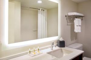 纽波特纽斯Holiday Inn Newport News - Hampton, an IHG Hotel的一间带水槽和大镜子的浴室