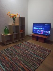 Madalena do MarLevadinha - Nature guest house的一间带电视和地毯的客厅