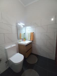 Madalena do MarLevadinha - Nature guest house的一间带卫生间、水槽和镜子的浴室