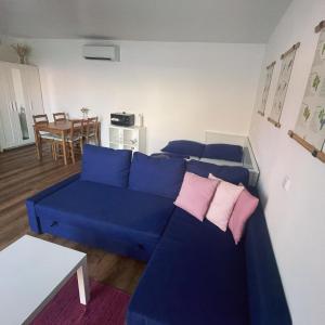 帕索尔维基PÁLAVSKÉ DOMKY的客厅配有带粉红色枕头的蓝色沙发