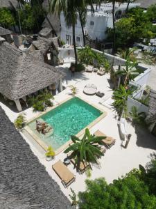 江比阿Olamanga Beach Villa的享有带躺椅和椅子的游泳池的顶部景致