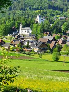 毛特恩多夫Ferienwohnungen Haus-Holzer的一个小村庄,有绿地和房子