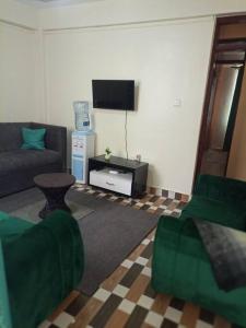 KisiiEagles one bedroom in Kisii CBD with Balcony的带沙发和电视的客厅