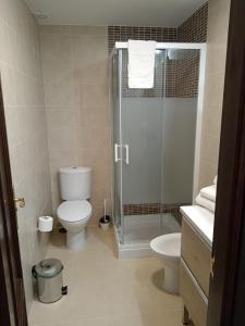 莫纳奇尔Rincón de María José的一间带卫生间和玻璃淋浴间的浴室