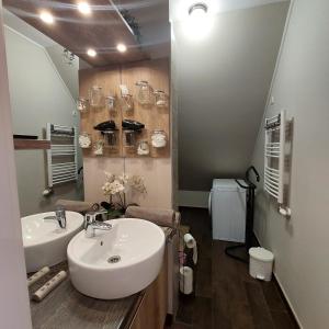 塞格德Hétvezér Penthouse Apartments的一间带水槽和镜子的浴室