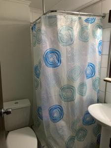 圣地亚哥Hotel Alameda的浴室配有带卫生间的淋浴帘