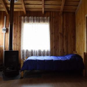 梅利佩乌科Magma Conguillio的一间卧室设有蓝色的床和窗户。