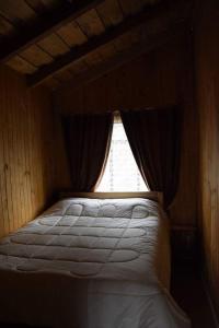 梅利佩乌科Magma Conguillio的木制客房的一张床位,设有窗户