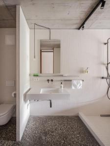 瓦尔德基尔希ArtBau Designhotel的一间带水槽、卫生间和镜子的浴室