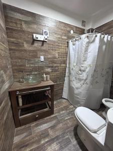 圣胡安Güemes Apart的浴室配有卫生间、盥洗盆和淋浴。