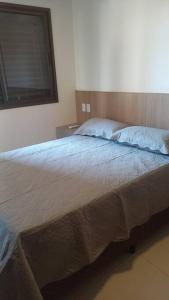 帕图斯迪米纳斯Espaço aconchegante com wifi!的一间卧室配有一张大床和木制床头板